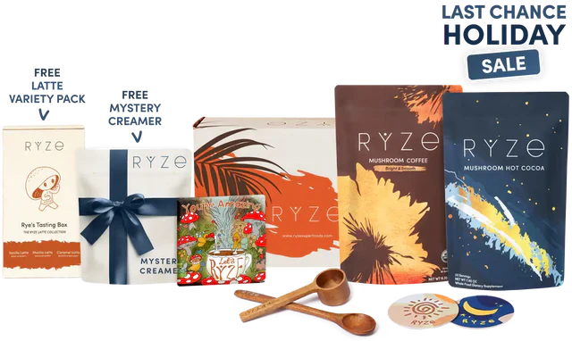 Day + Night Bundle 4S0T