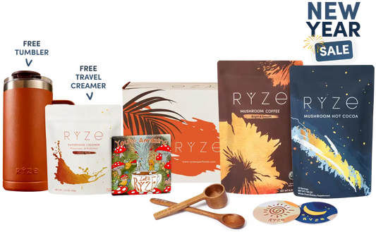 Day + Night Bundle TOLE