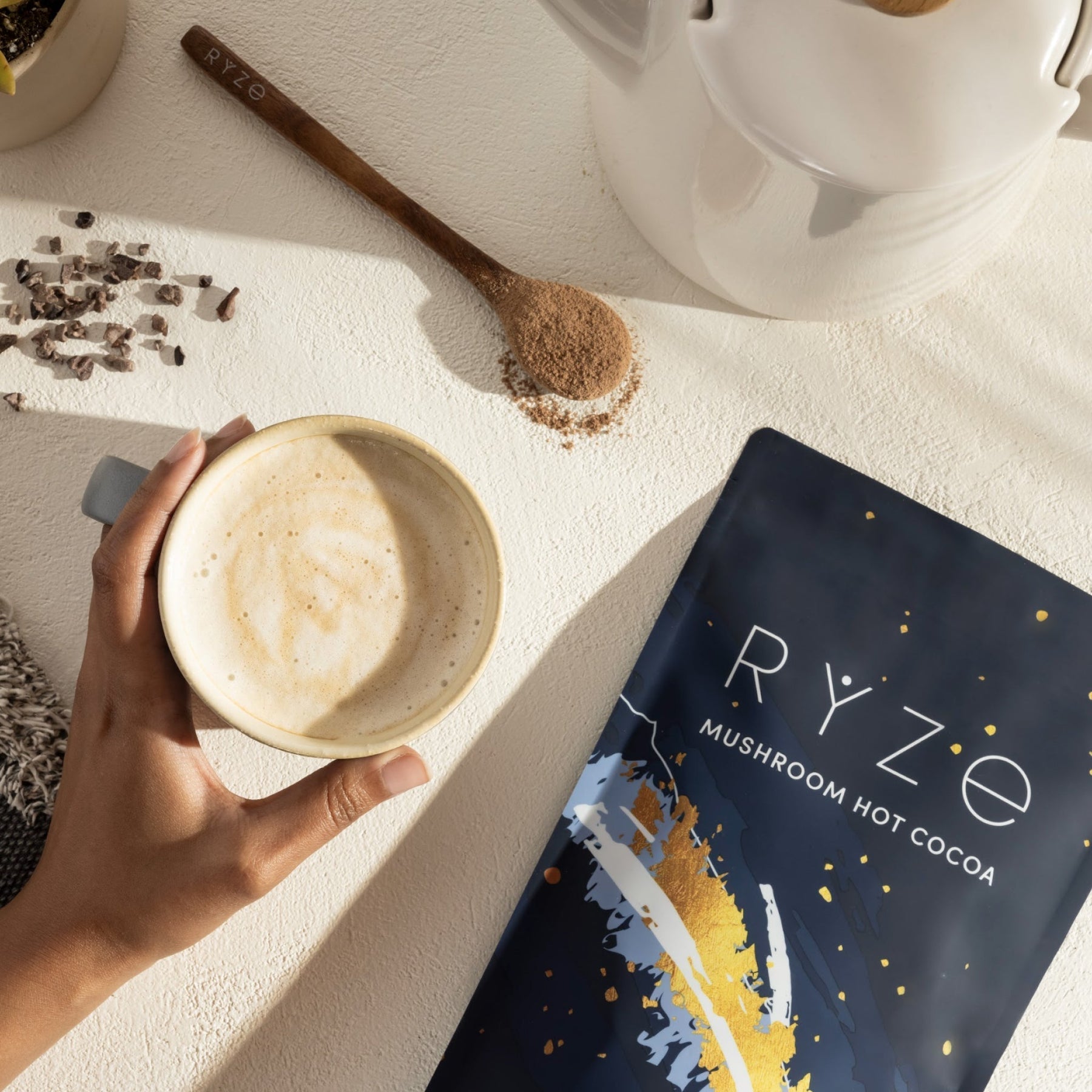 Mushroom Hot Cocoa B45Z