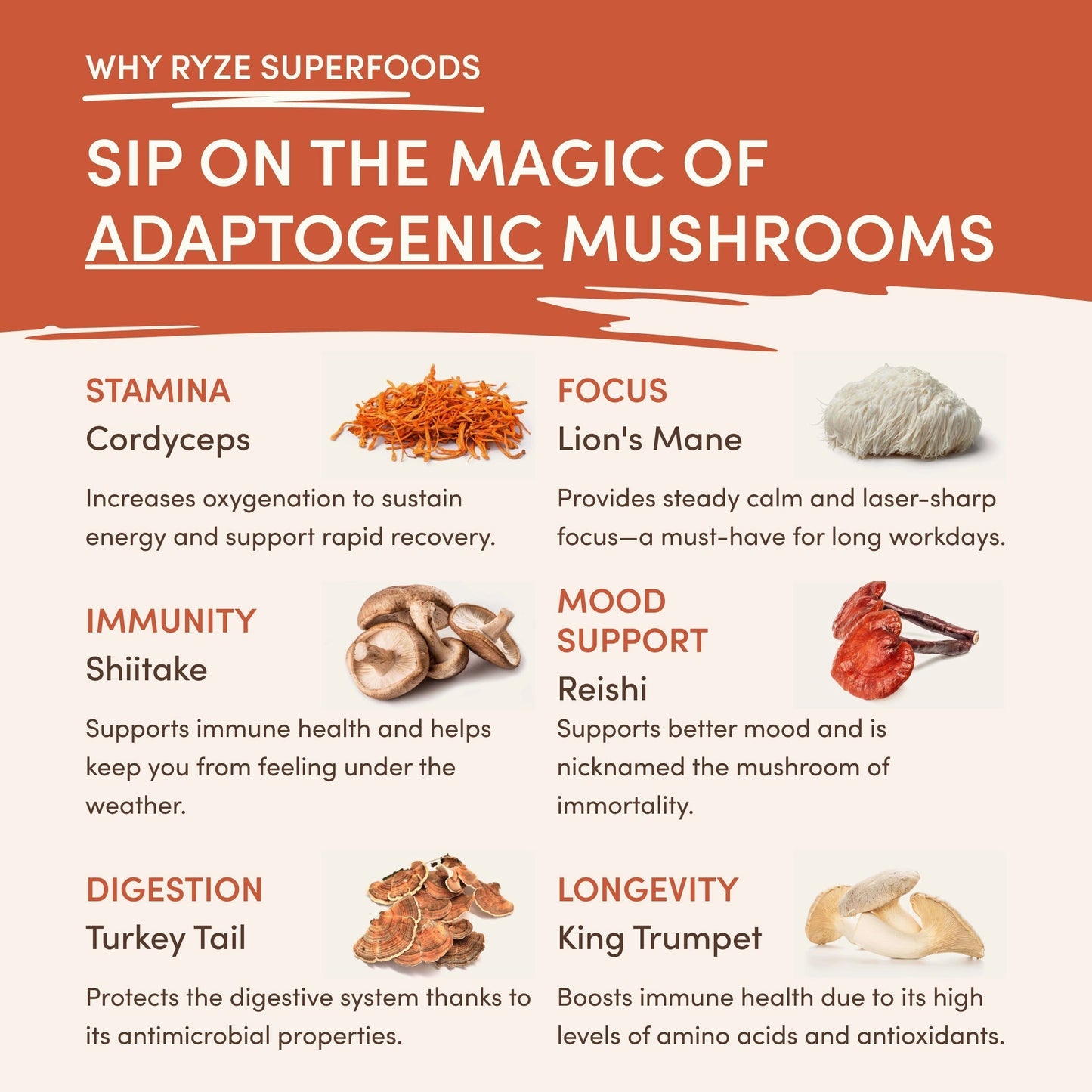 Superfood Creamer X7NE